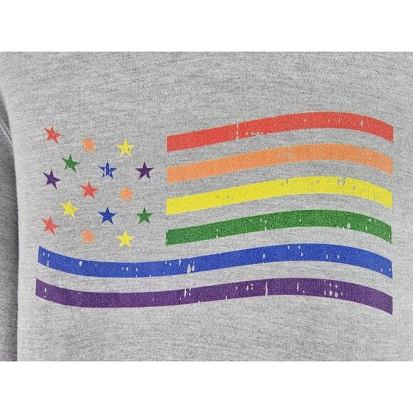 Rainbow American Flag Hoodie Sweatshirt Adult Size Medium Gray Pride LGBTQ Shirt - Picture 5 of 11